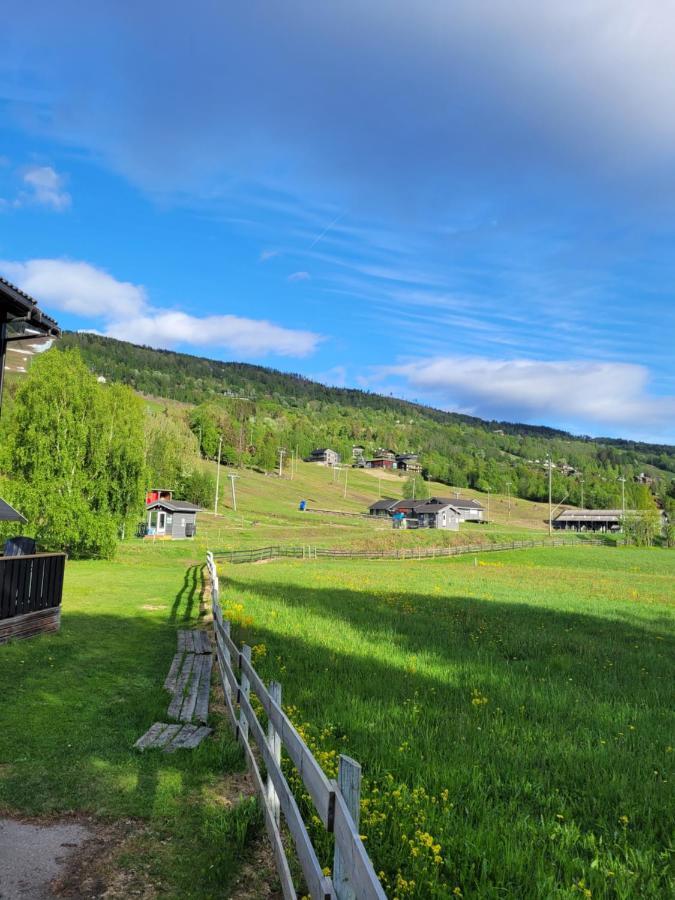 Friends & Family Apartment At Hafjell Alpinlandsby/Oyer Center Eksteriør bilde